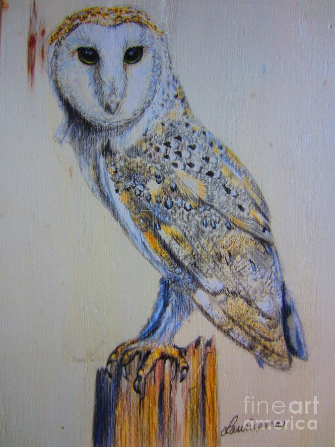 Barn Owl Painting by Laurianna Taylor