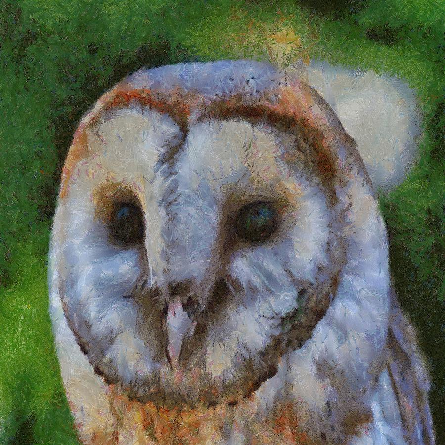 Barn Owl Painting by Taiche Acrylic Art
