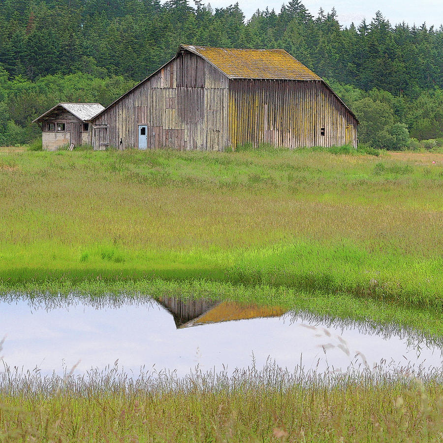 Barn Reflection Photograph by Art Block Collections