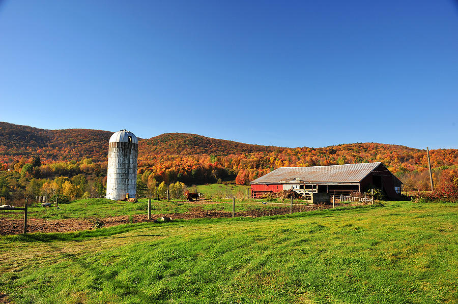 Barn Silo Photograph By Dennis Clark 