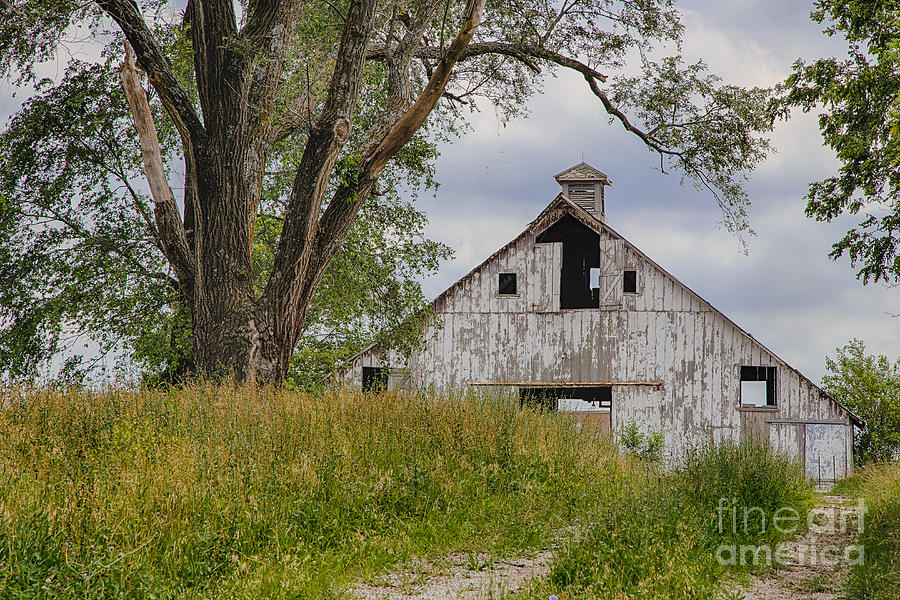 Barn Under the Tree Photograph by Terri Morris - Pixels