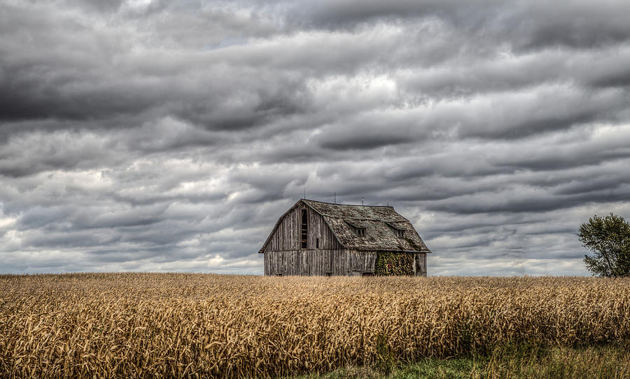 Barn Weathered Photograph by Ray Congrove