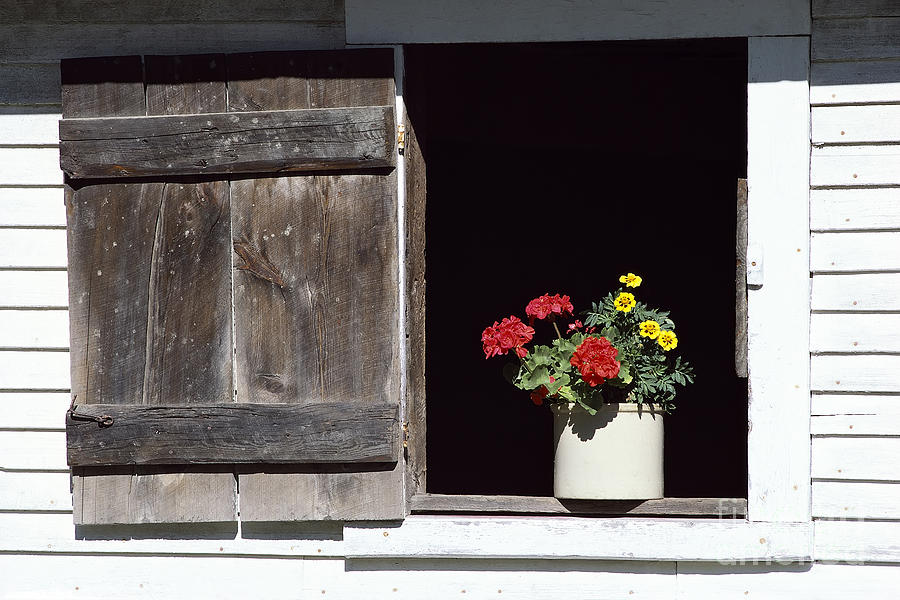 Barn Window Flowers Photograph by Alan L Graham