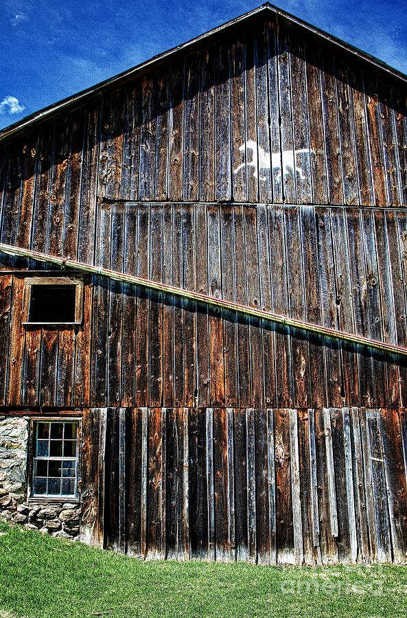 Barn With A Painted Pony Photograph by Henry Kowalski