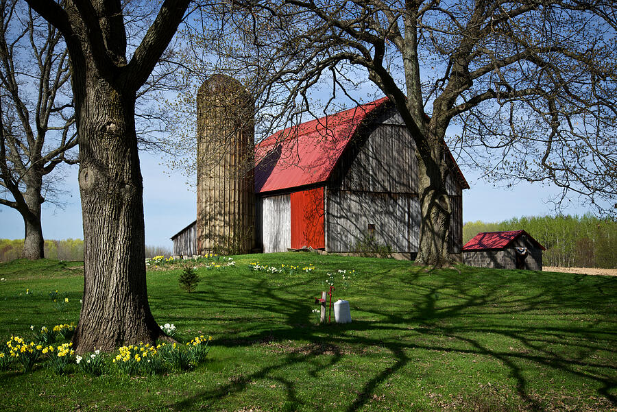 Barn Photograph - Barn with Silo in Springtime by Mary Lee Dereske