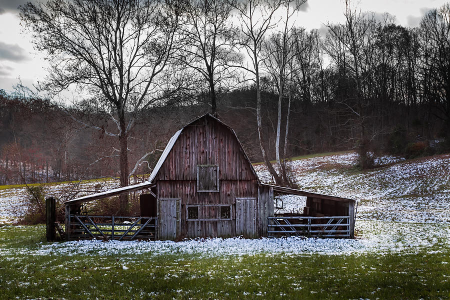 Barn with Snow Photograph by Ron Pate