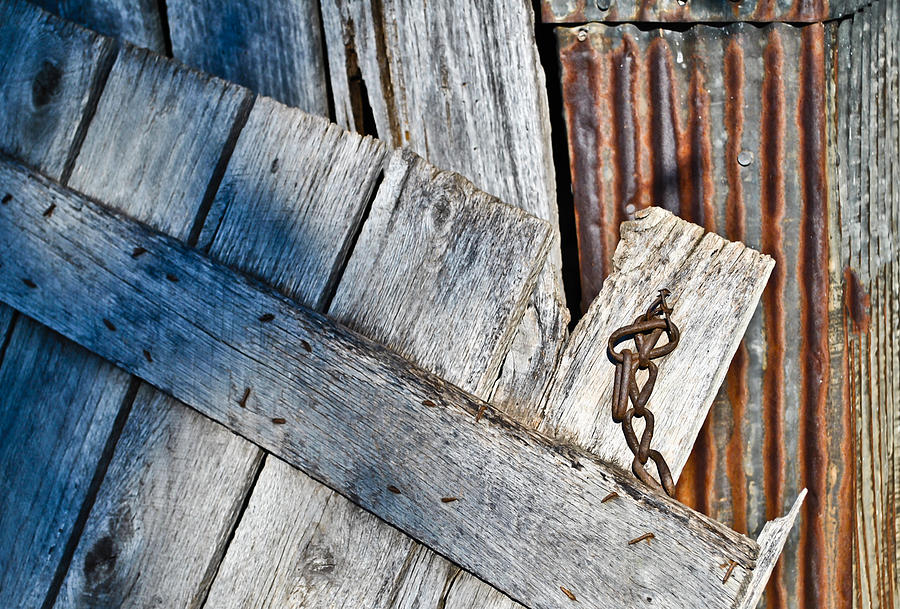 Barn Wood and Tin Photograph by Greg Jackson