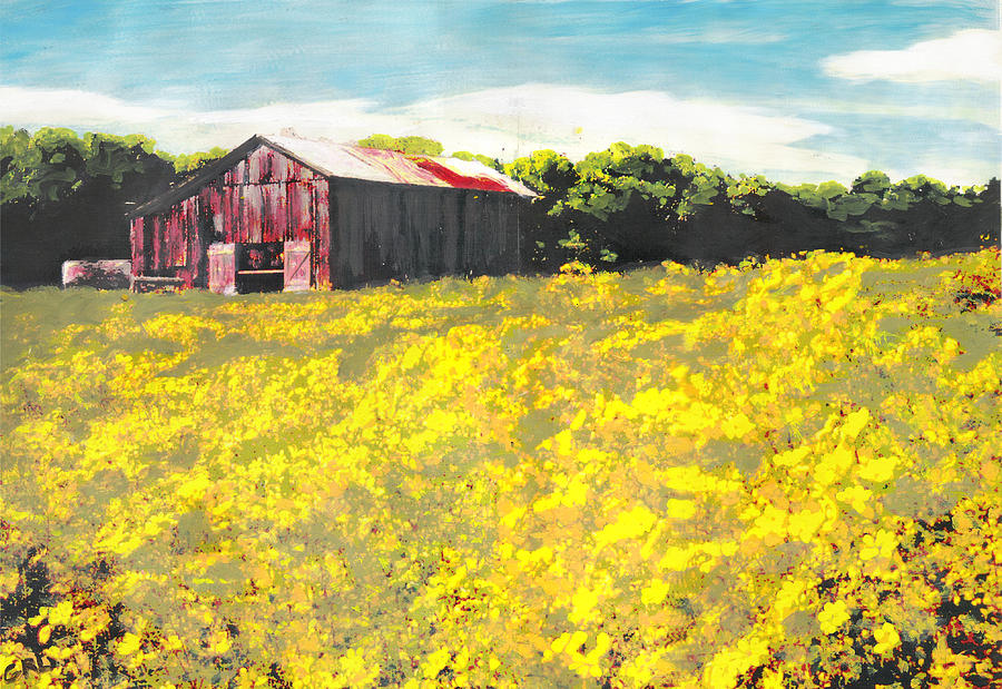 Barn Yellow Spring Fields Maryland Landscape Fine Art Painting Painting by G Linsenmayer