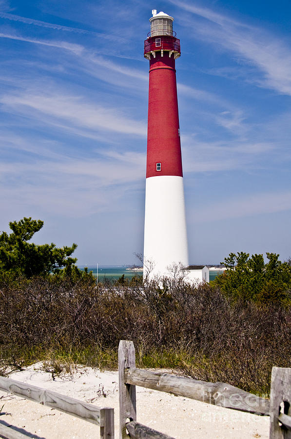 Barnegat Lighthouse Photograph by Anthony Sacco