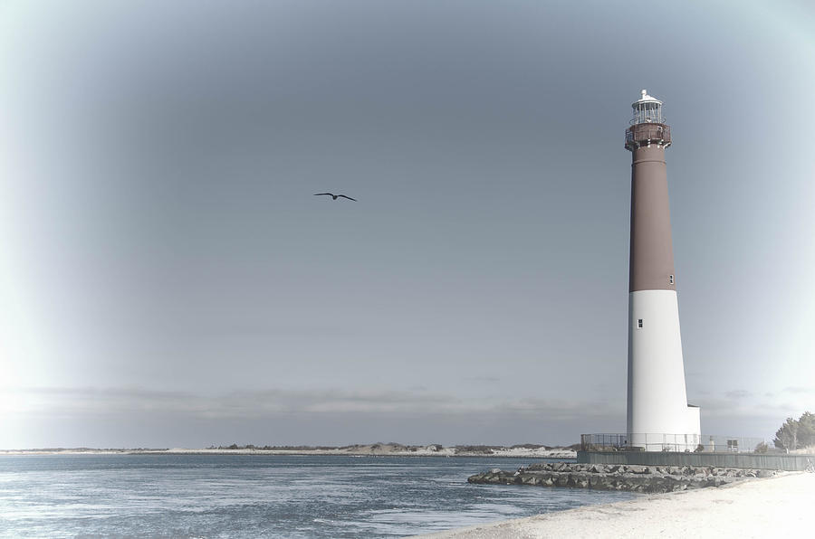Barnegat Lighthouse Photograph by Beth Venner
