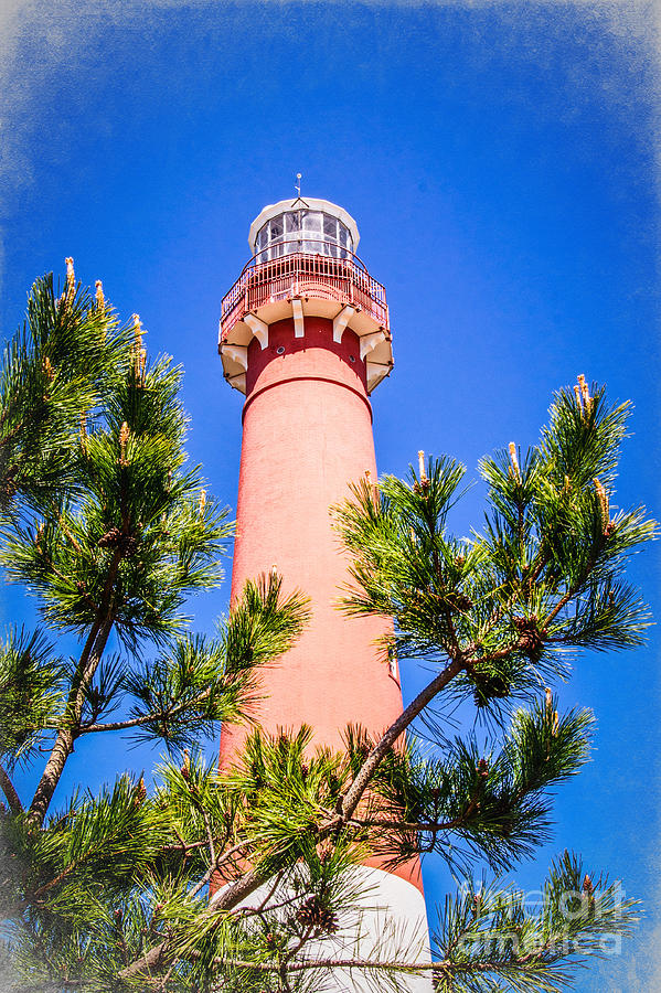 Barnegat Lighthouse Photograph by Bob and Nancy Kendrick