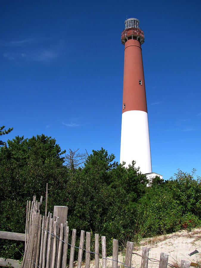 Barnegat Lighthouse Photograph by Colleen Kammerer