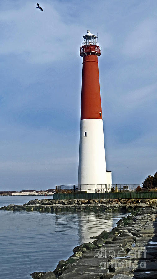 Barnegat Lighthouse Verticale Panoramic Photograph by Dawn Gari