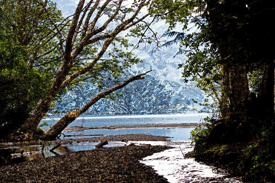 Barnes Creek at Lake Crescent - Washington Photograph by Marie Jamieson