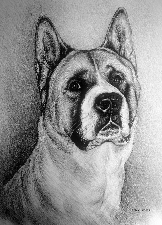 Barney Drawing by Andrew Read