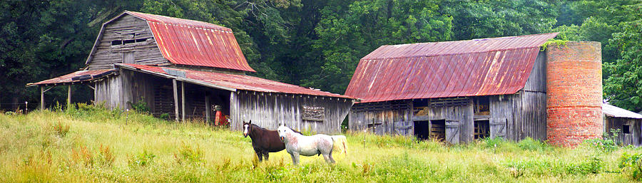 Barns and Horses near Mills River NC Photograph by Duane McCullough