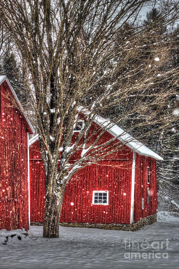 Barns And Tree In A Snowstorm Photograph By Christopher Jones 