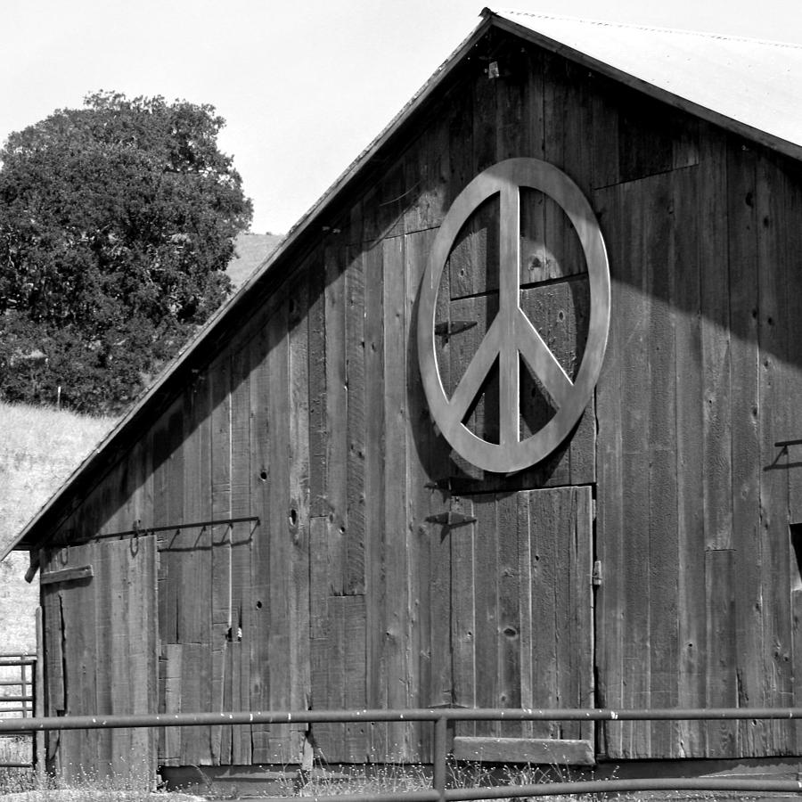 Barns for Peace Photograph by Art Block Collections
