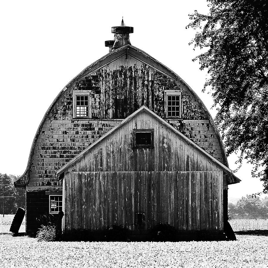 Barns of Delmarva Take 2 Photograph by Art By Ray - Fine Art America