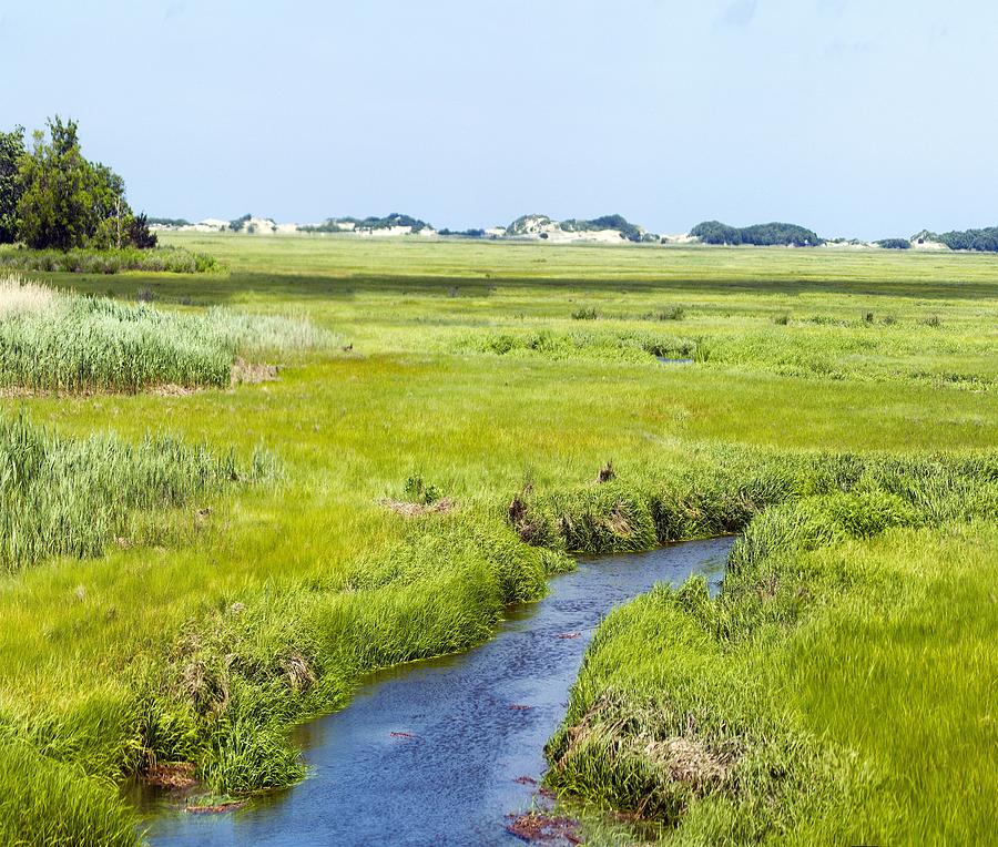 Barnstable Great Marsh Photograph by Constantine Gregory