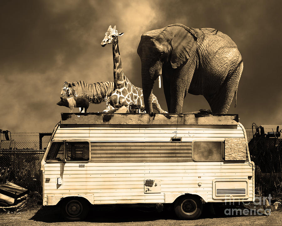 Barnum and Bailey Goes On a Road Trip 5D22705 Sepia Photograph by Wingsdomain Art and Photography