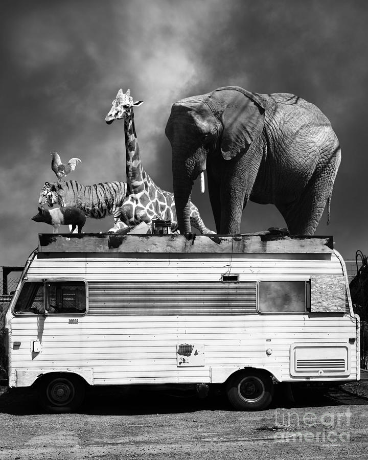 Barnum and Bailey Goes On a Road Trip 5D22705 Vertical Black and White Photograph by Wingsdomain Art and Photography