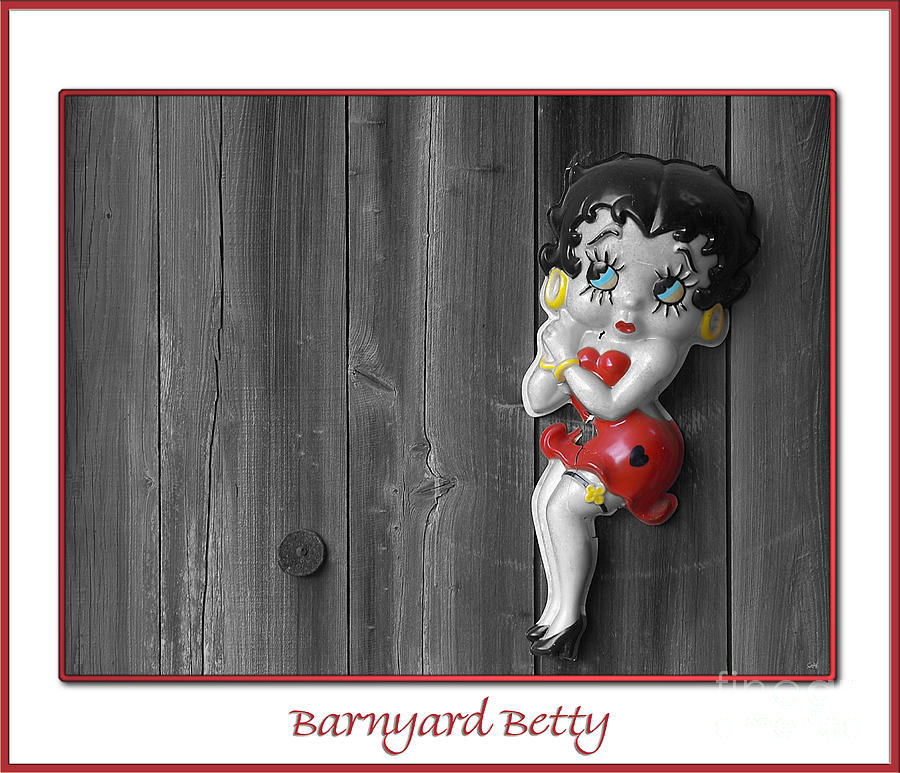 Barnyard Betty Photograph by Sami Martin
