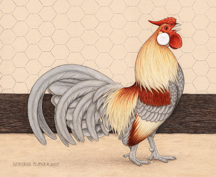 The Rooster childhood drawing by dp2257 on DeviantArt