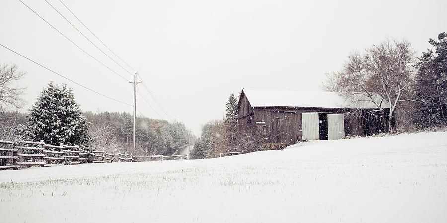 Fall Photograph - Barnyard Snow by Ricardo Cardoso
