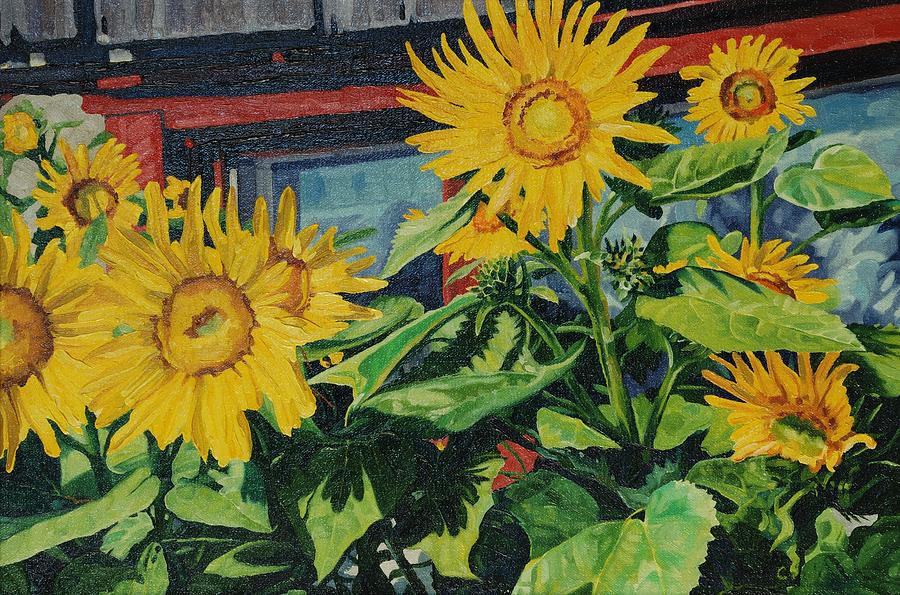 Flower Painting - Barnyard Sunflowers by Phil Chadwick