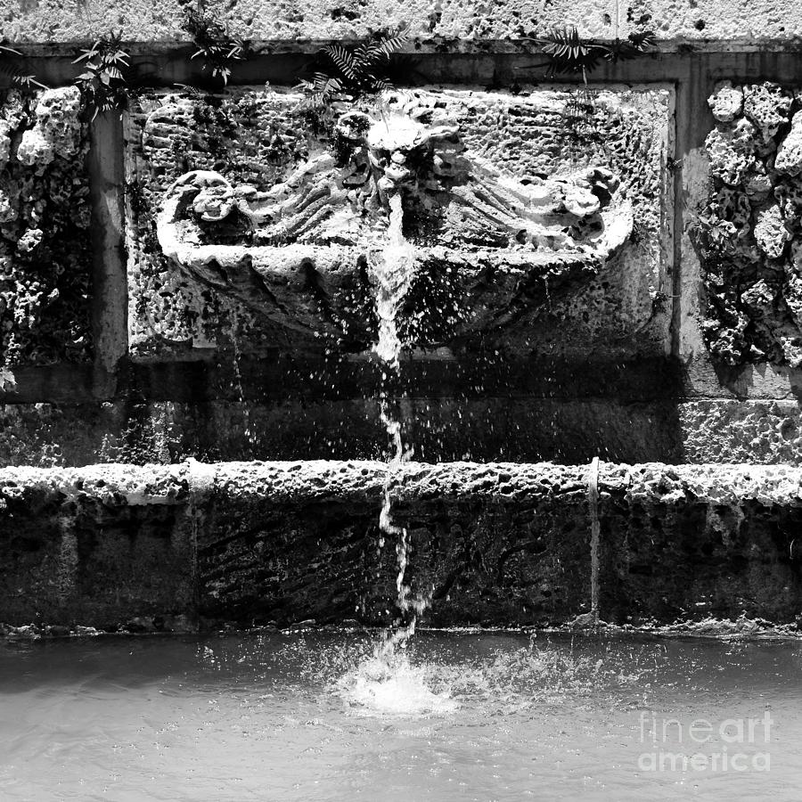 Baroque Coral Fountain at Vizcaya Estate Museum in Miami Florida Square Format Black and White Photograph by Shawn OBrien
