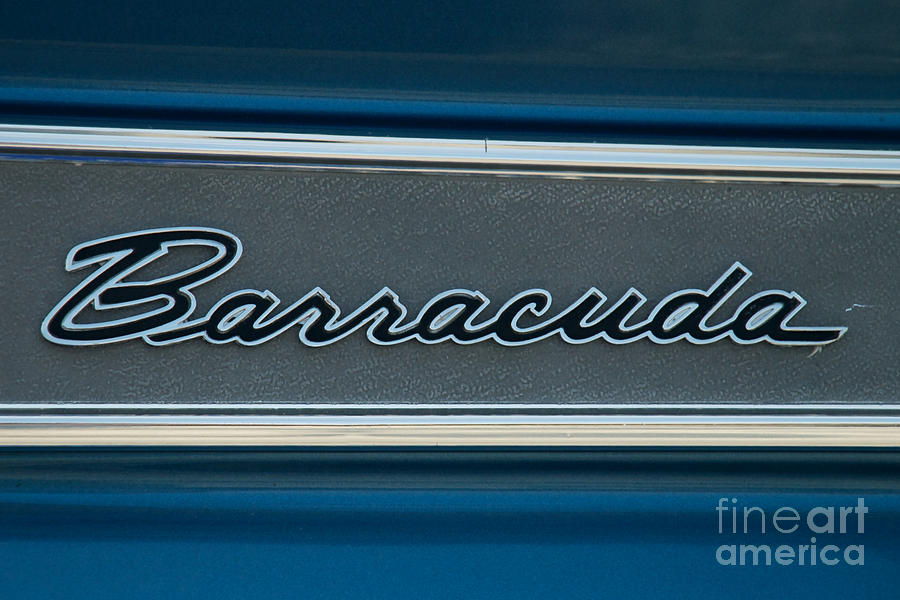 Barracuda Emblem Photograph by Mark Dodd