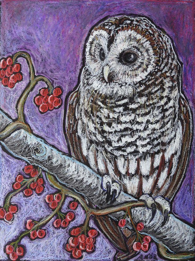 Owl Painting - Barred Owl and Berries by Ande Hall