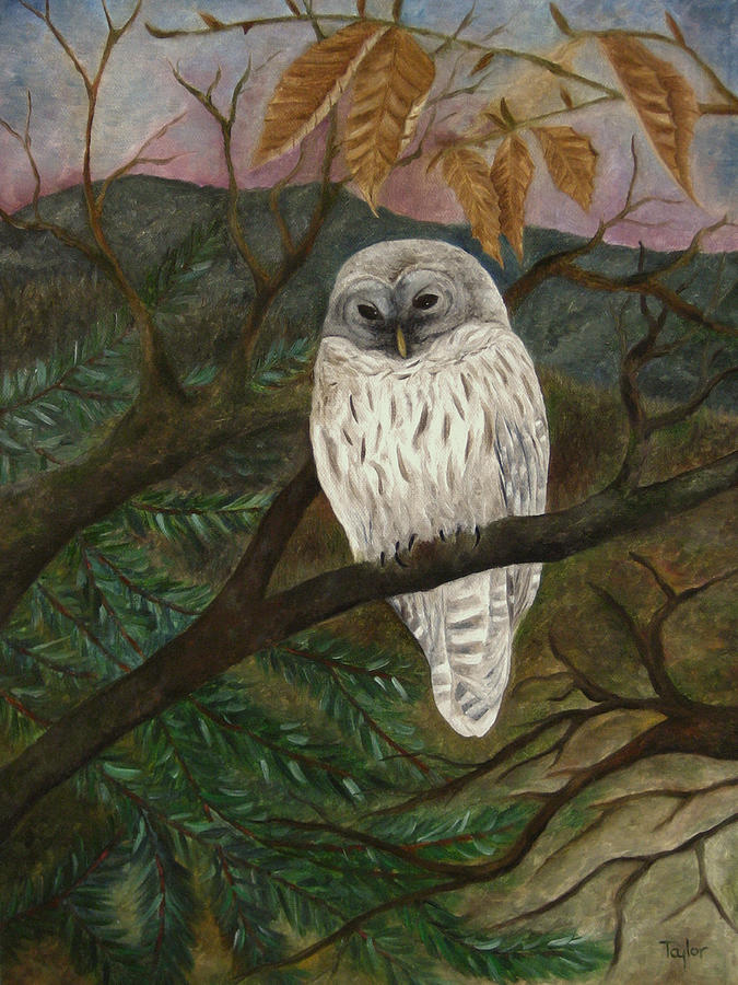 Barred Owl Painting by FT McKinstry