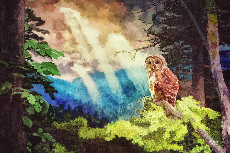 Barred Owl in the Mountains Digital Art by Steven Llorca