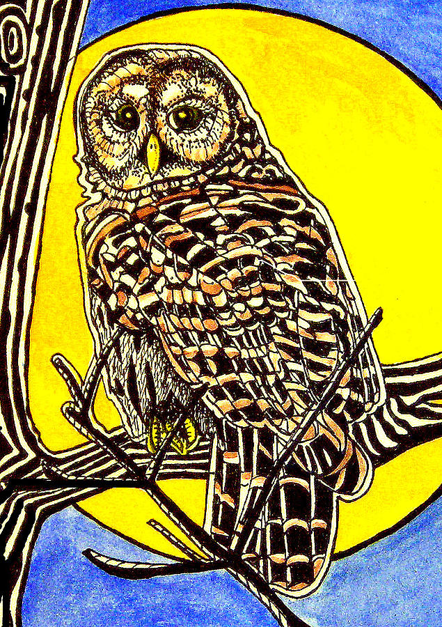 Owl Painting - Barred Owl by Judy Moon