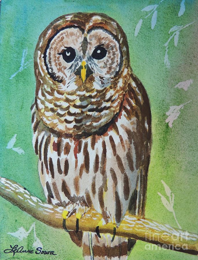 Barred Owl Painting by LeAnne Sowa