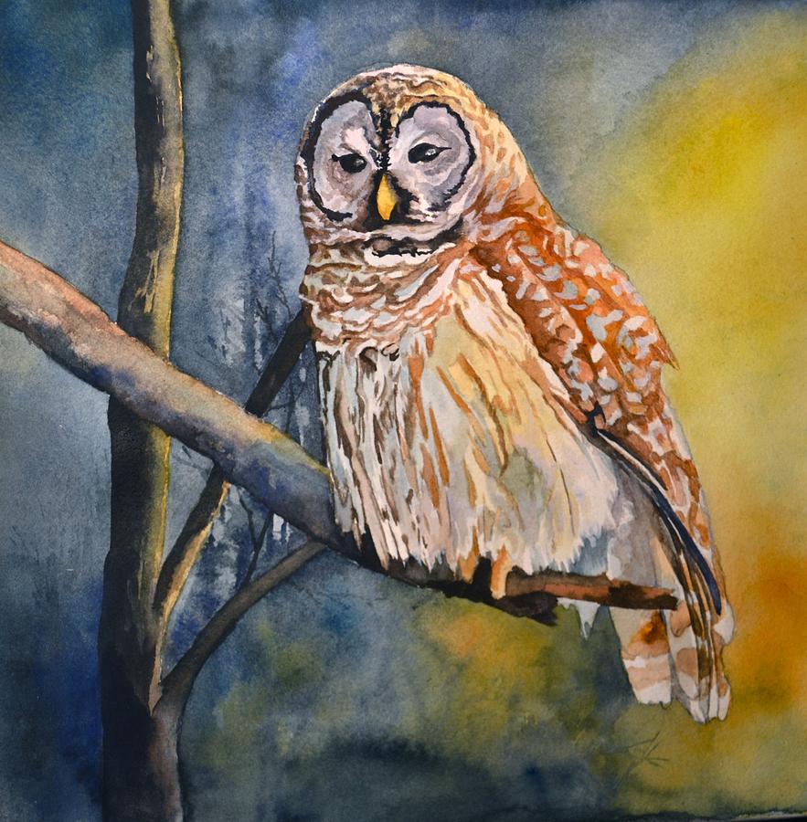 Barred Owl Painting By Thomas Block Pixels