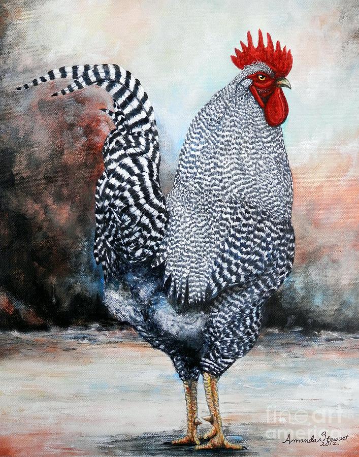 Rooster Painting - Barred Rock rooster by Amanda Hukill