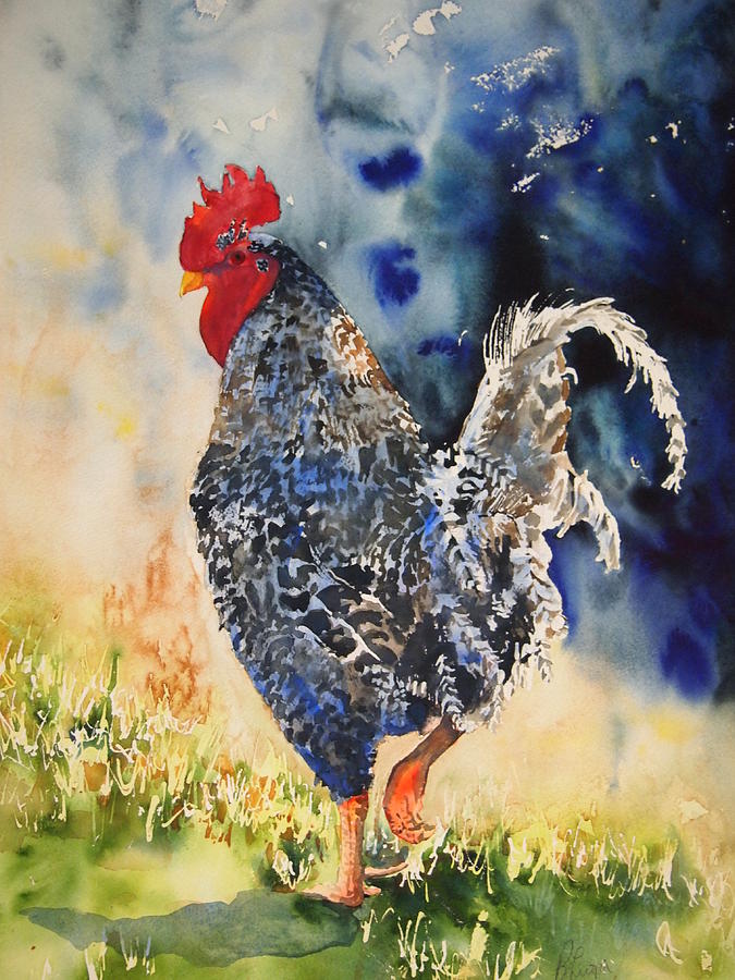 Barred Rock Rooster Painting by Bonnie Luopa - Pixels