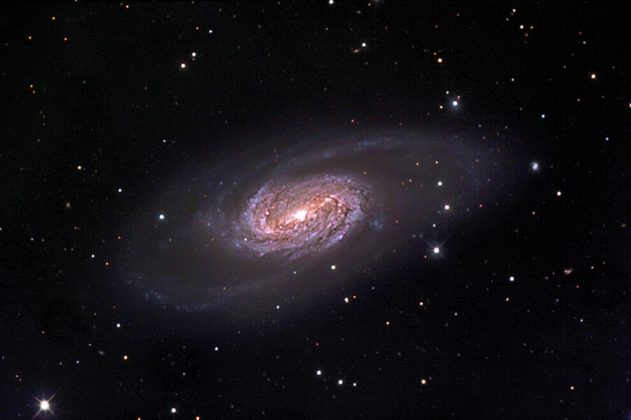 Barred Spiral Galaxy Ngc 2903 Photograph by Robert Gendler & Jim Misti/science Photo Library