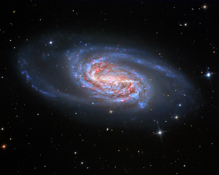 Barred Spiral Galaxy Ngc 2903 Photograph by Tony & Daphne Hallas/science Photo Library