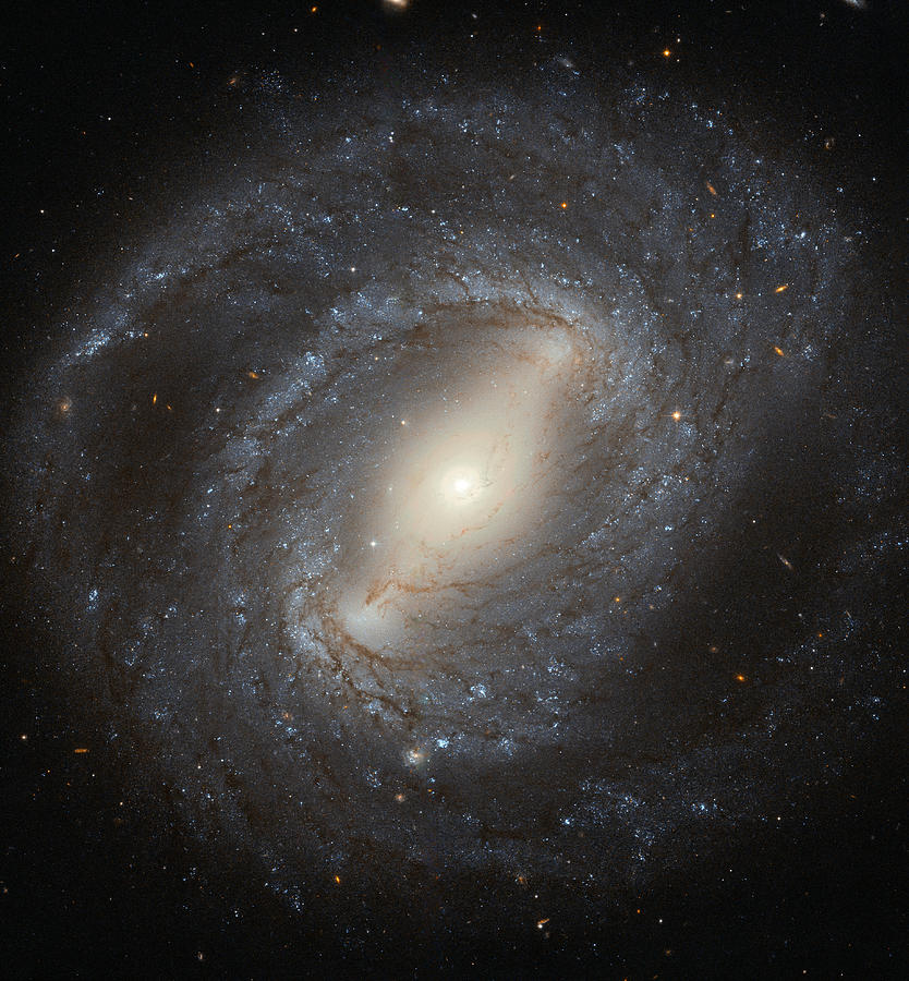 Barred Spiral Galaxy Ngc 4394 Photograph by Science Source