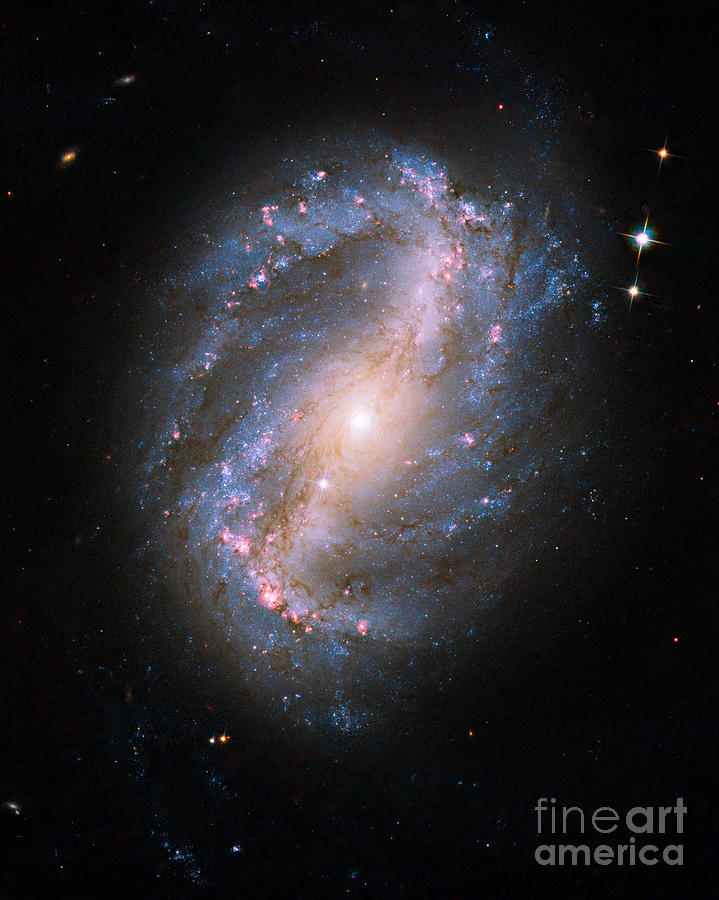 Barred Spiral Galaxy Ngc 6217 Photograph by Science Source