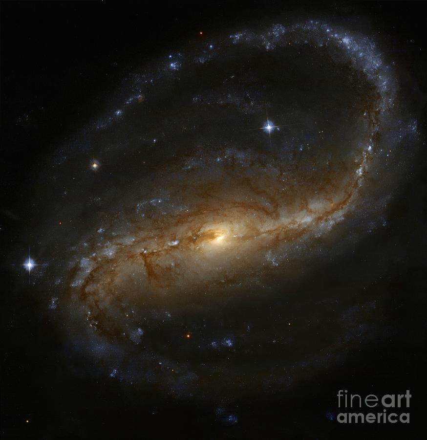 Barred Spiral Galaxy Ngc 7479 Photograph by Robert Gendler