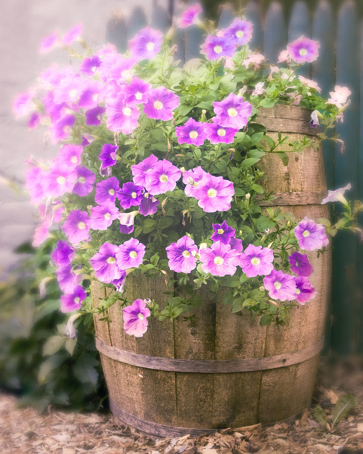 Barrel of Flowers - Floral Arrangements Photograph by Gary Heller