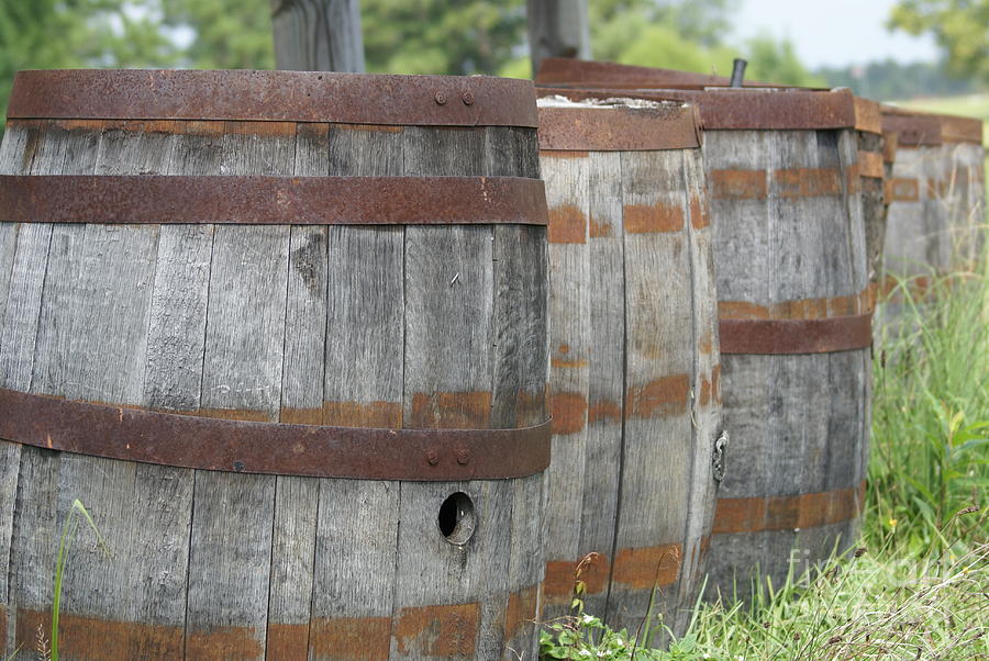 Barrel Of Fun Photograph by Michelle Shea | Pixels