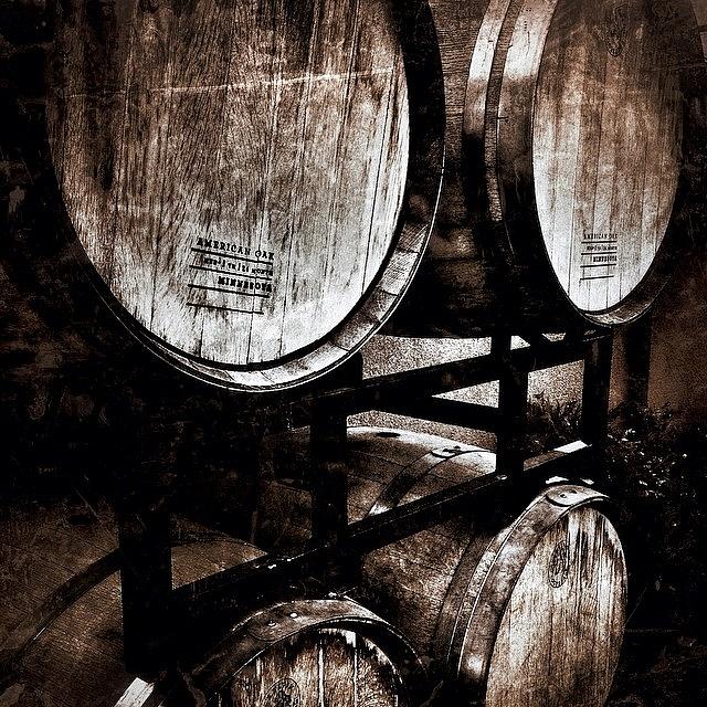Barrels O Wine Photograph by Kathleen Messmer