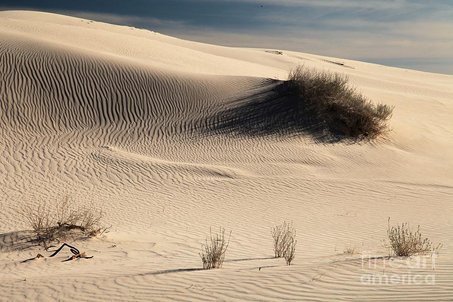 Barren Dunes Photograph by Adam Jewell
