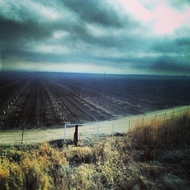 Barren Photograph - #barren Fields Wishing For #rain by CnTell CnTell